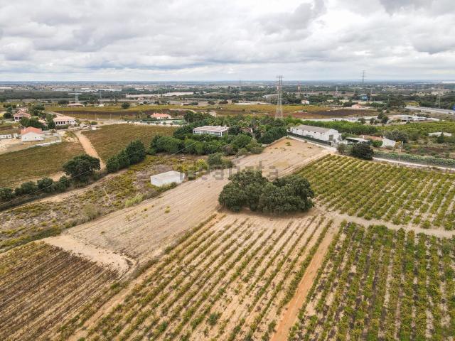 Terreno, Palmela