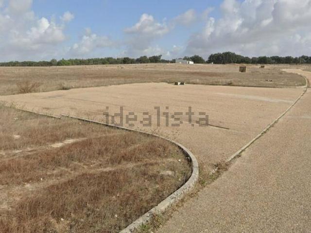 Terreno, Palmela