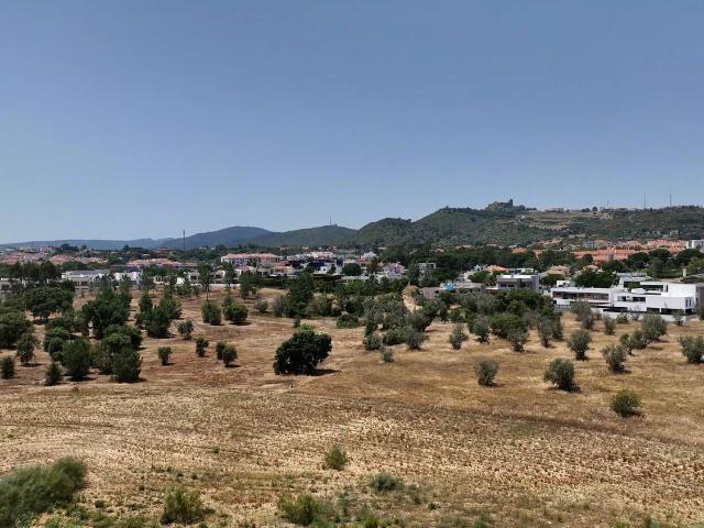 Terreno, Palmela