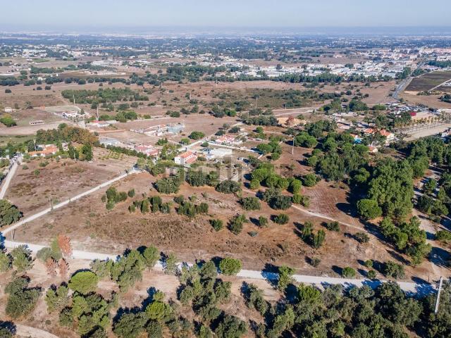 Terreno, Palmela