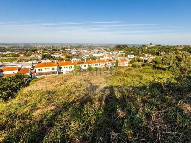 Terreno, Palmela