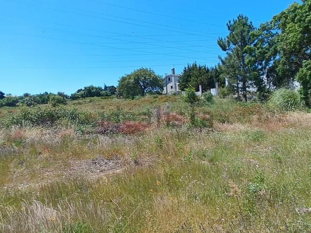 Terreno, Palmela