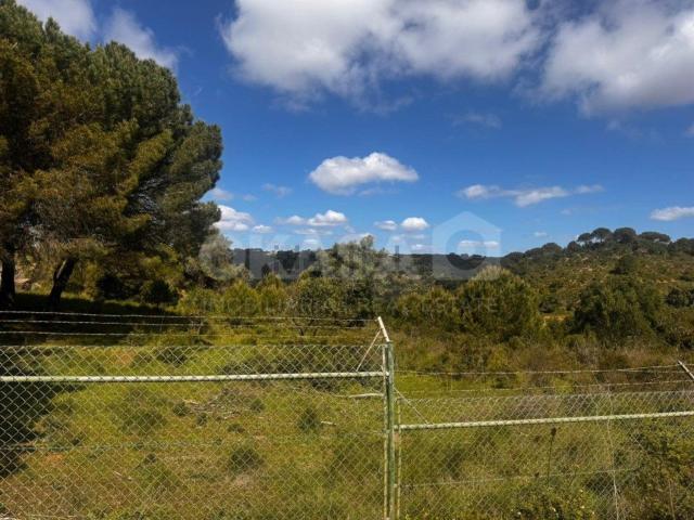 Terreno, Palmela