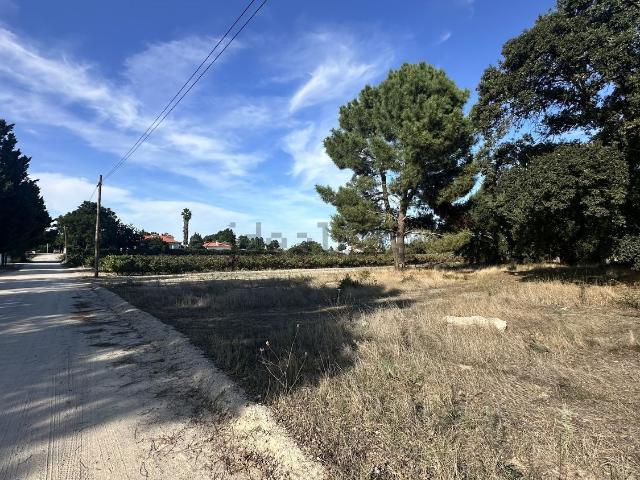 Terreno, Palmela