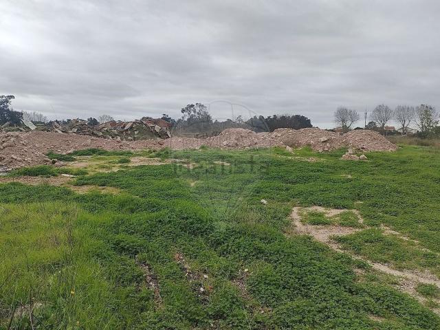 Terreno, Palmela