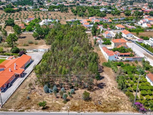 Terreno, Palmela