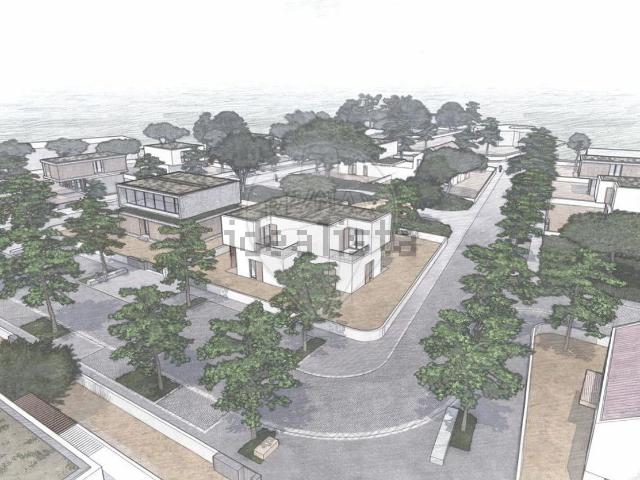 Terreno, Palmela