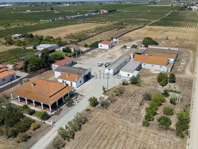 Terreno, Palmela