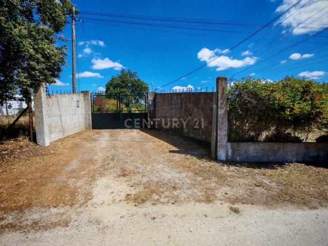 Terreno, Palmela