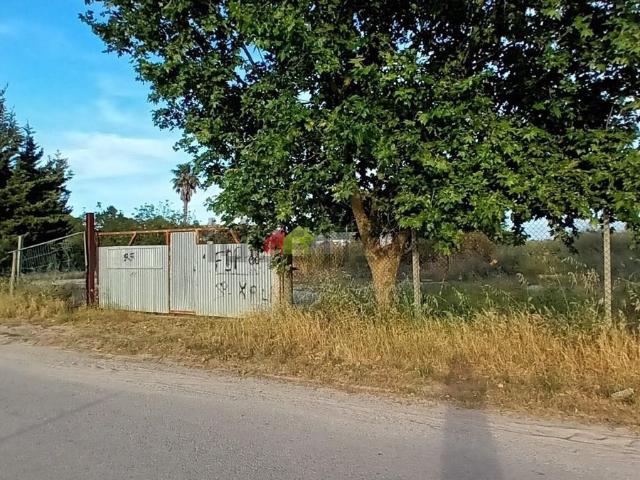Terreno, Palmela