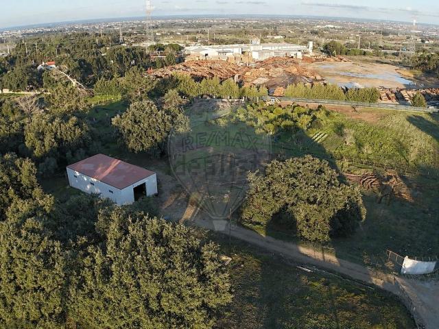 Terreno, Palmela