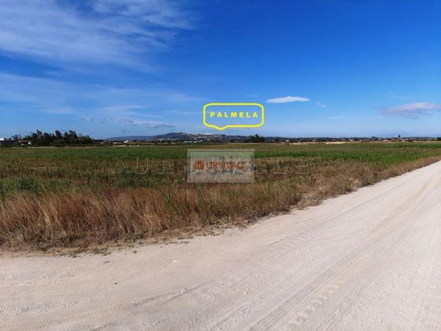Terreno, Palmela