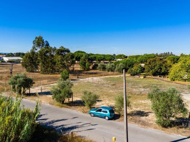 Terreno, Palmela