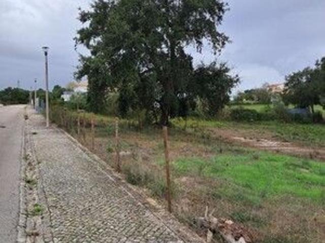 Terreno, Palmela