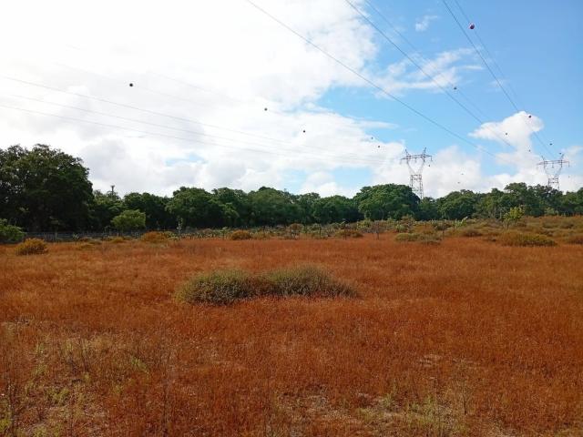 Terreno, Palmela