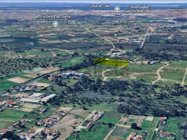 Terreno, Palmela