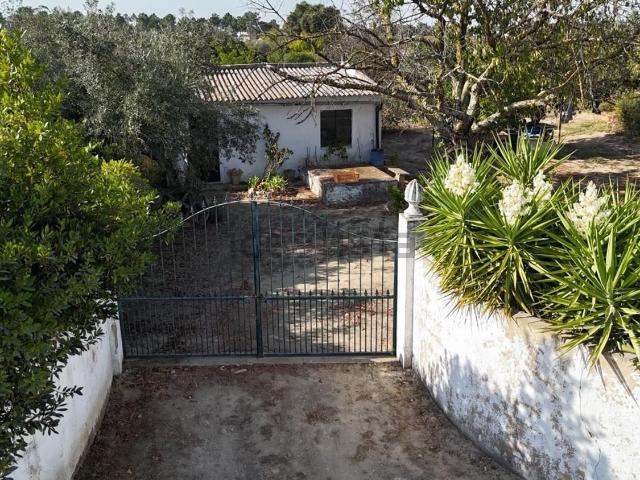 Terreno, Palmela