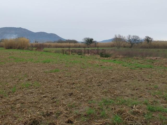 Terreno, Palau Saverdera