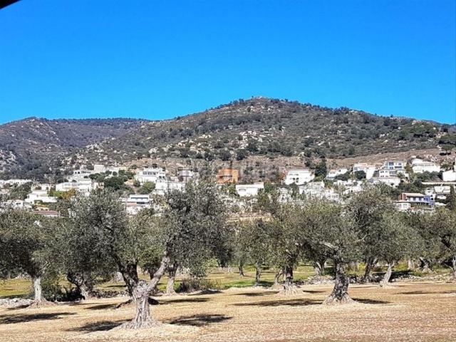 Terreno, Palau Saverdera