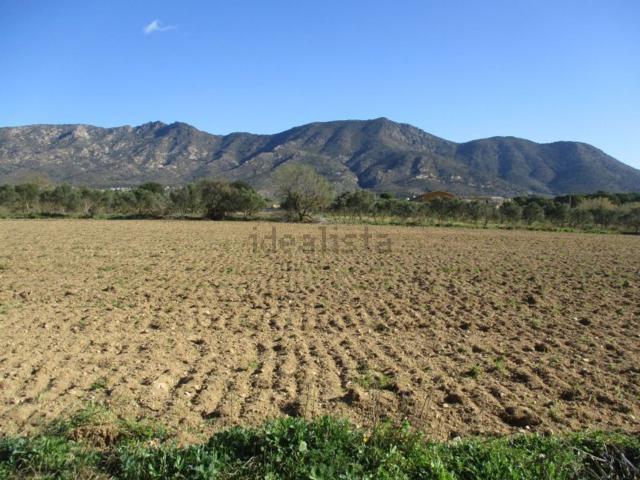 Terreno, Palau Saverdera