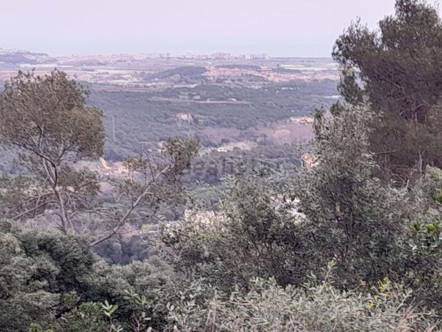 Terreno, Palafolls