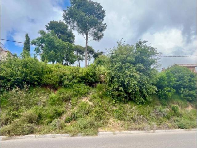 Terreno, Palafolls
