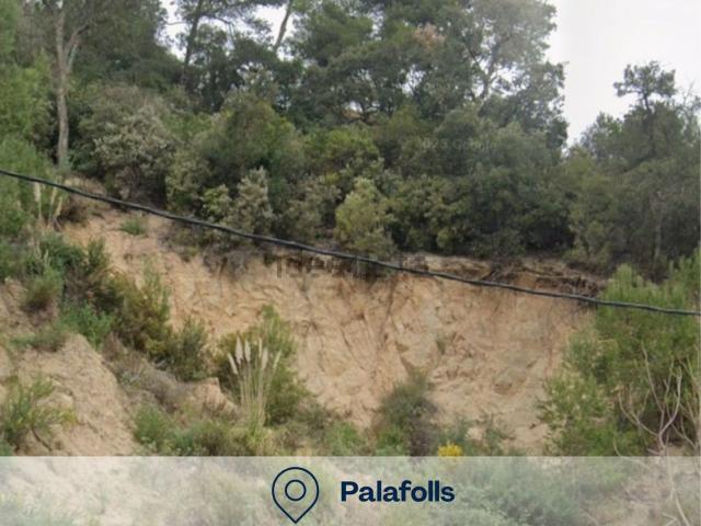 Terreno, Palafolls