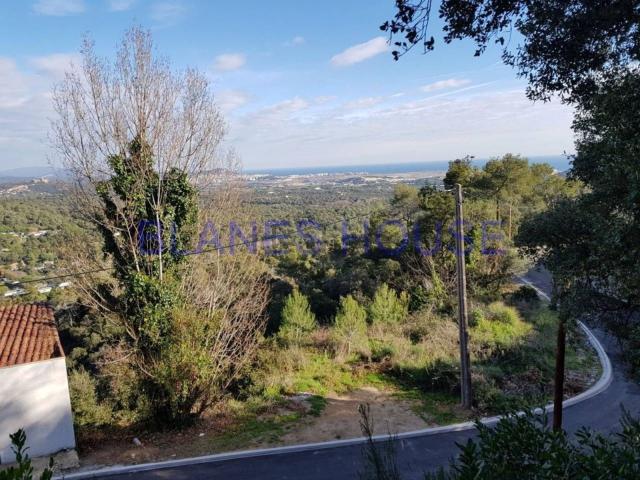 Terreno, Palafolls