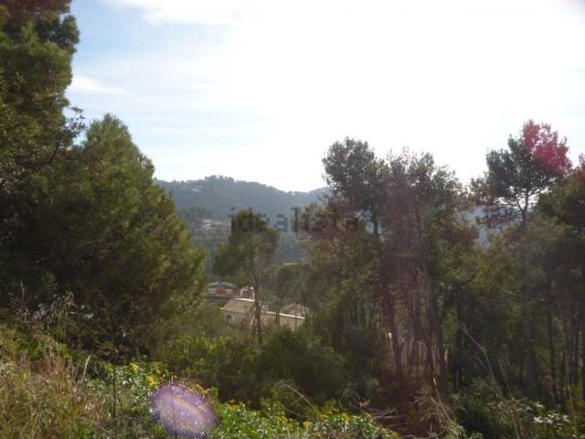 Terreno, Palafolls