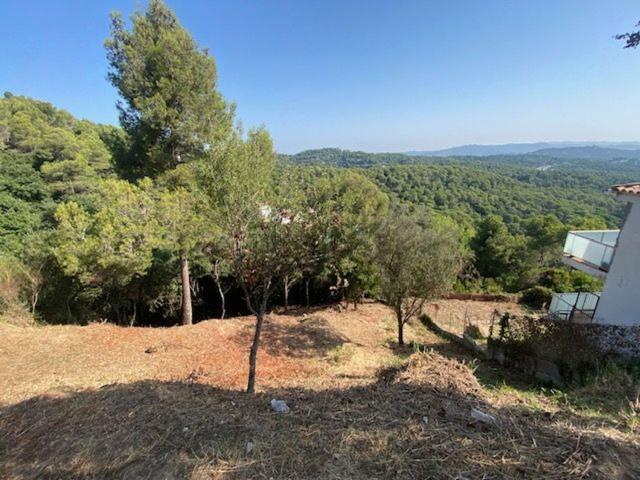 Terreno, Palafolls
