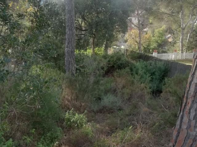 Terreno, Palafolls