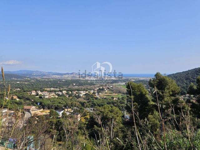 Terreno, Palafolls