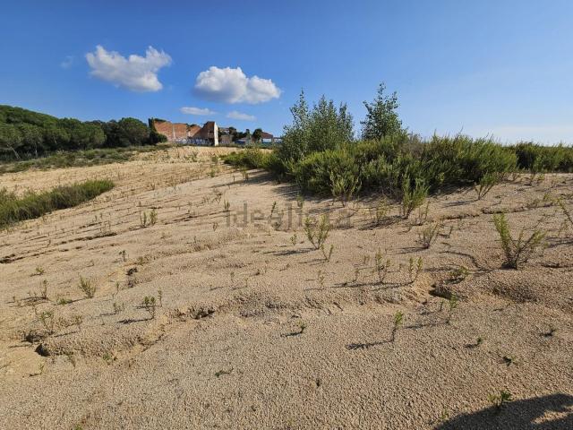 Terreno, Palafolls