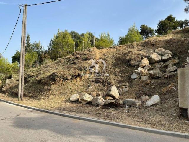 Terreno, Palafolls
