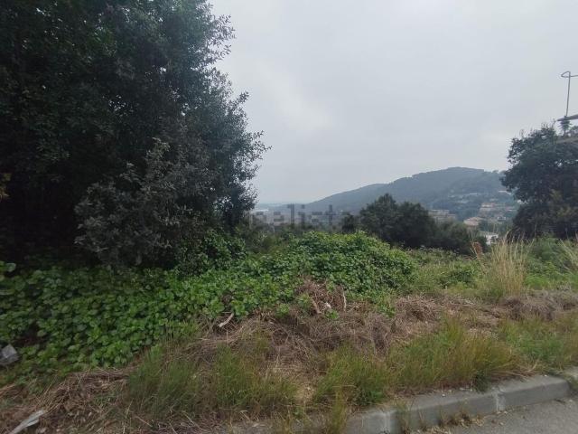 Terreno, Palafolls