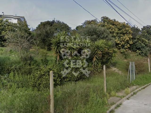 Terreno, Palafolls