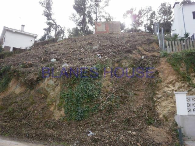 Terreno, Palafolls