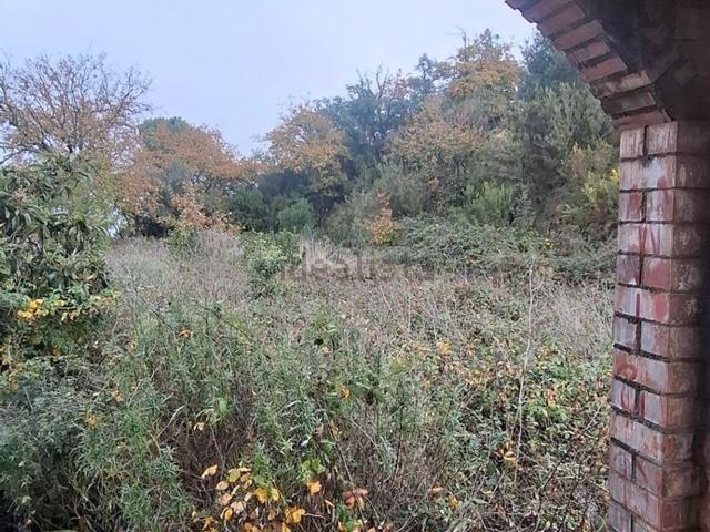 Terreno, Palafolls