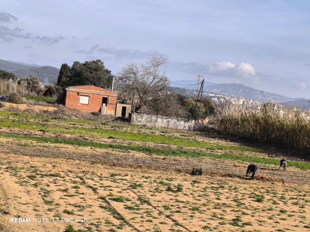Terreno, Palafolls
