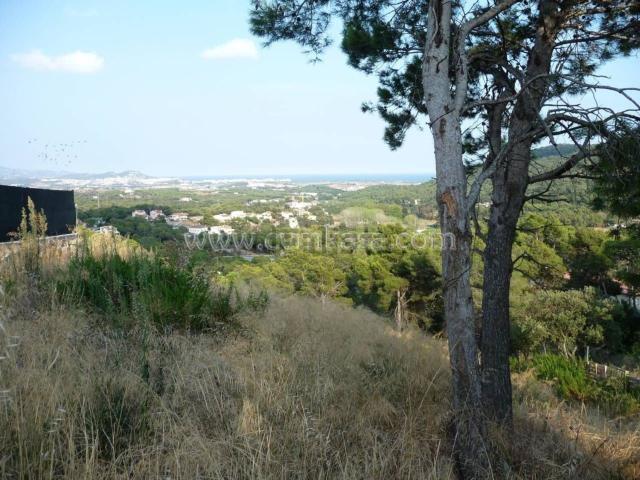 Terreno, Palafolls