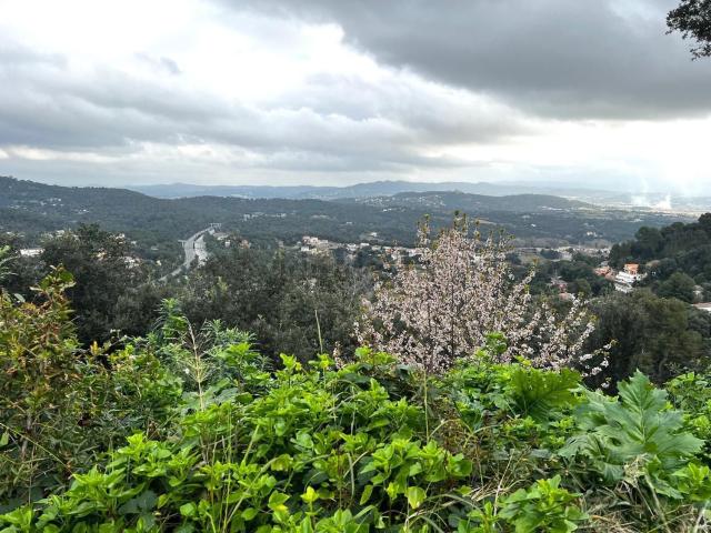 Terreno, Palafolls