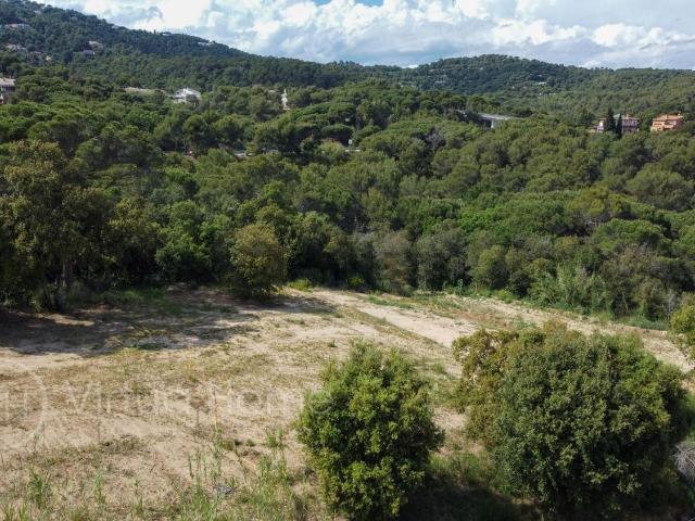 Terreno, Palafolls