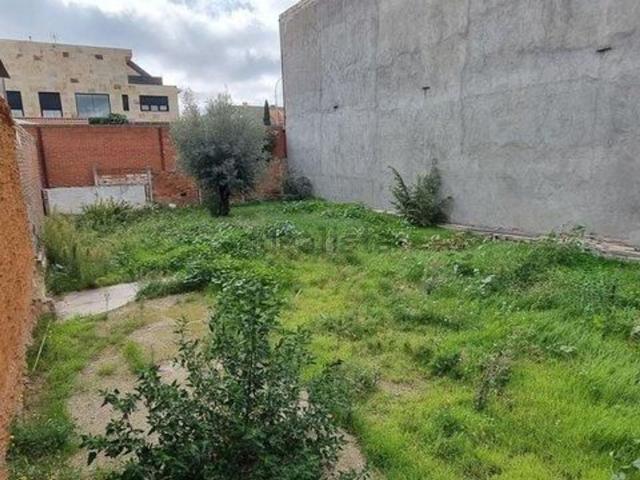 Terreno, Palamós