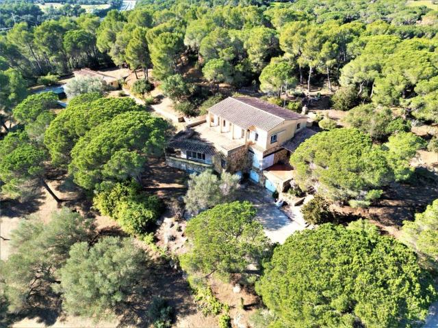 Terreno, Palamós