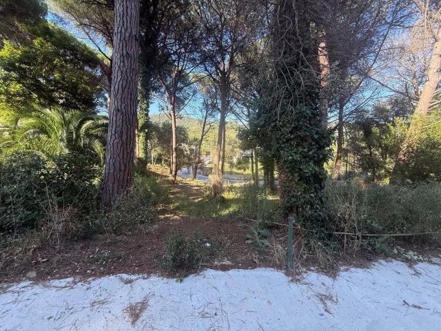 Terreno, Palamós