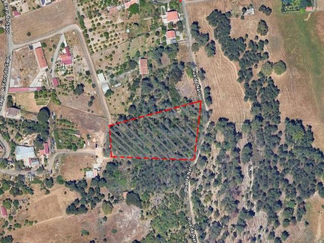 Terreno, Palhais e Coina
