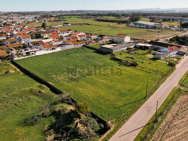 Terreno, Palhais e Coina