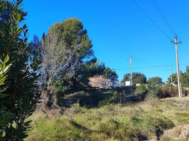 Terreno, Pallaresos Els