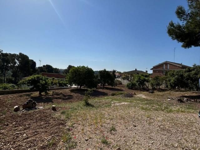 Terreno, Pallaresos Els