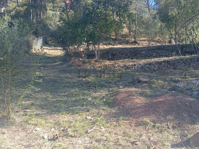 Terreno, Pallejà